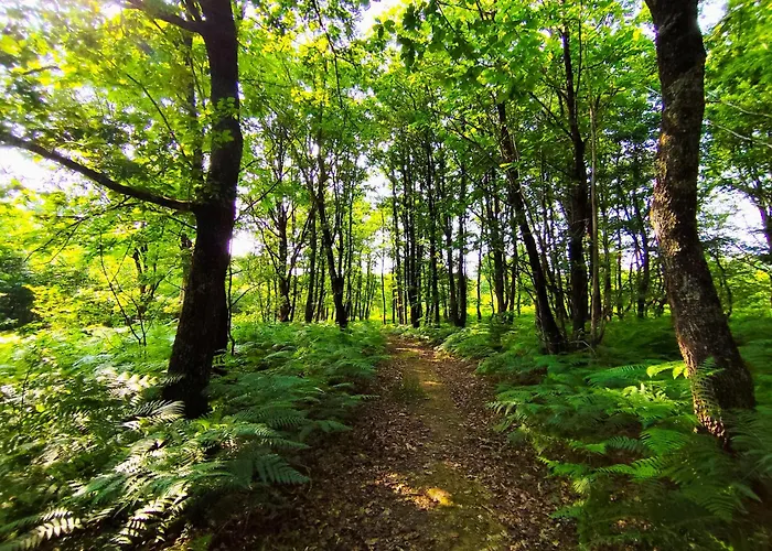 La Maison Des Forges, Ancienne Grange Charentaise Transformée En Habitation Atypique En Lisière De Forêt Pour 10 Personnes Maximum Cellefrouin